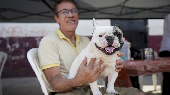 Campañas veterinarias recibieron a 3,200 mascotas durante el año.