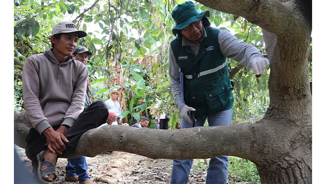 En esta oportunidad se hizo la entrega de dicho producto a los hermanos agricultores del centro poblado de Huayash y Quian.