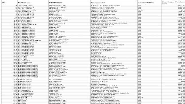 Lista de postulantes elegibles y no elegibles ficha 01 