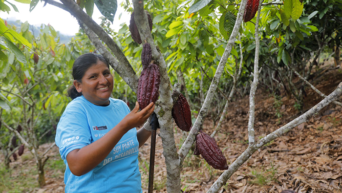 VRAEM CACAO