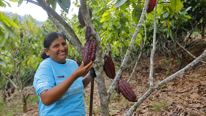 VRAEM CACAO 