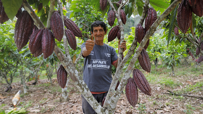 VRAEM CACAO