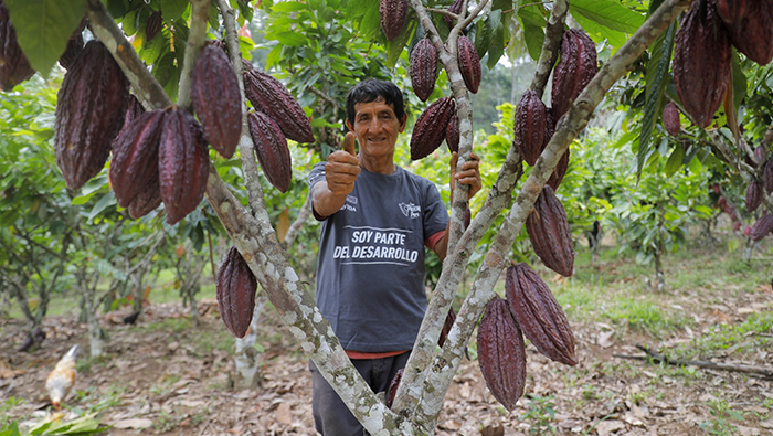 VRAEM CACAO 