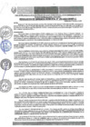 Vista preliminar de documento RGM-293-2024-GM-MPLC