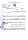 Vista preliminar de documento R.D 0462-2024