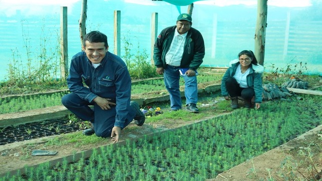 Para garantizar la producción de 400 mil plantas de pino Electrocentro supervisa viveros forestales de Jauja