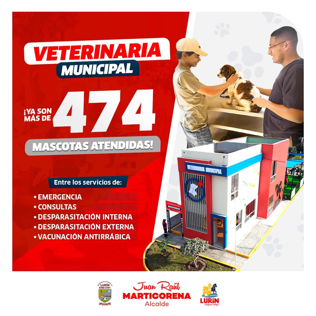 Archivo de JPG sobre una publicación del área de imagen