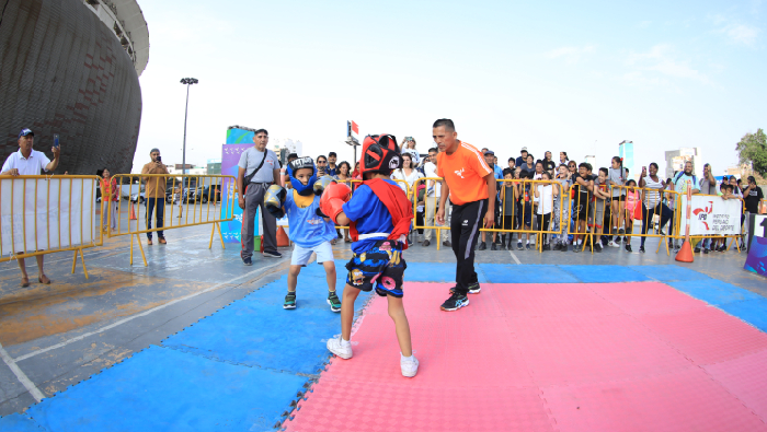 festival boxeo