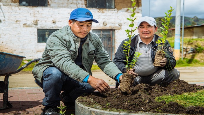 MUNICIPALIDAD DISTRITAL DE SAN JERÓNIMO REALIZA MANTENIMIENTO DE  ÁREAS VERDES Y ESPACIOS PÚBLICOS.