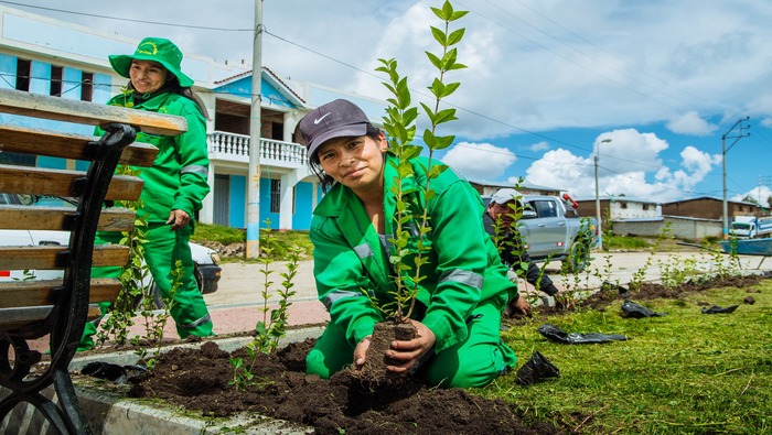 MUNICIPALIDAD DISTRITAL DE SAN JERÓNIMO REALIZA MANTENIMIENTO DE ÁREAS VERDES Y ESPACIOS PÚBLICOS.