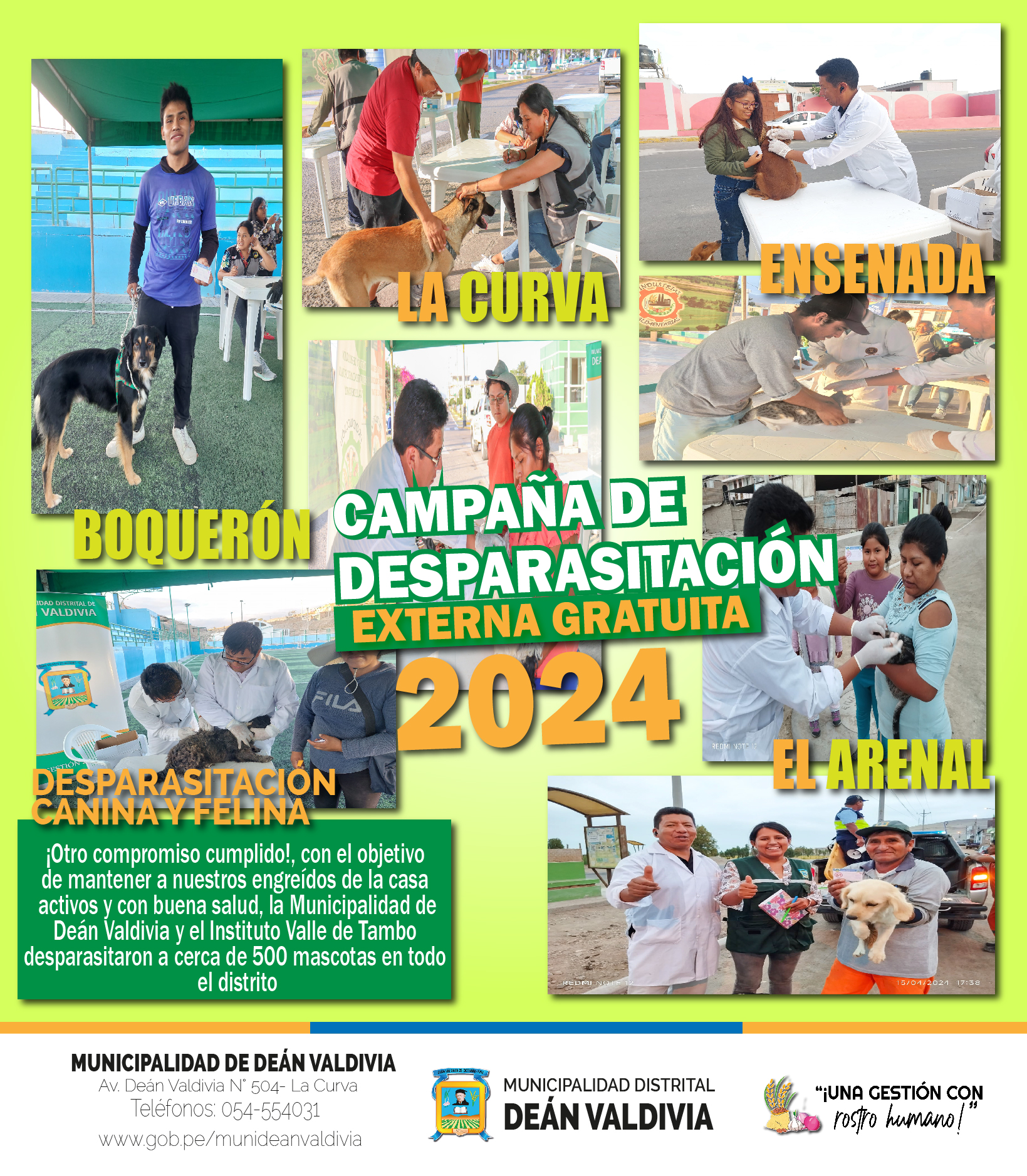 Mas de 500 mascotas desparasitadas en Deán Valdivia