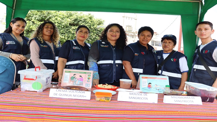 lucha contra la anemia en niรฑos y niรฑas menores de 5 aรฑos