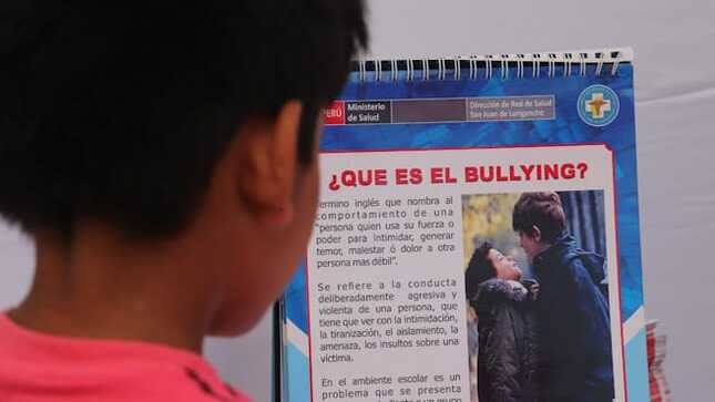 Especialistas explican cómo actuar frente a casos de bullying en niñas, niños y adolescentes