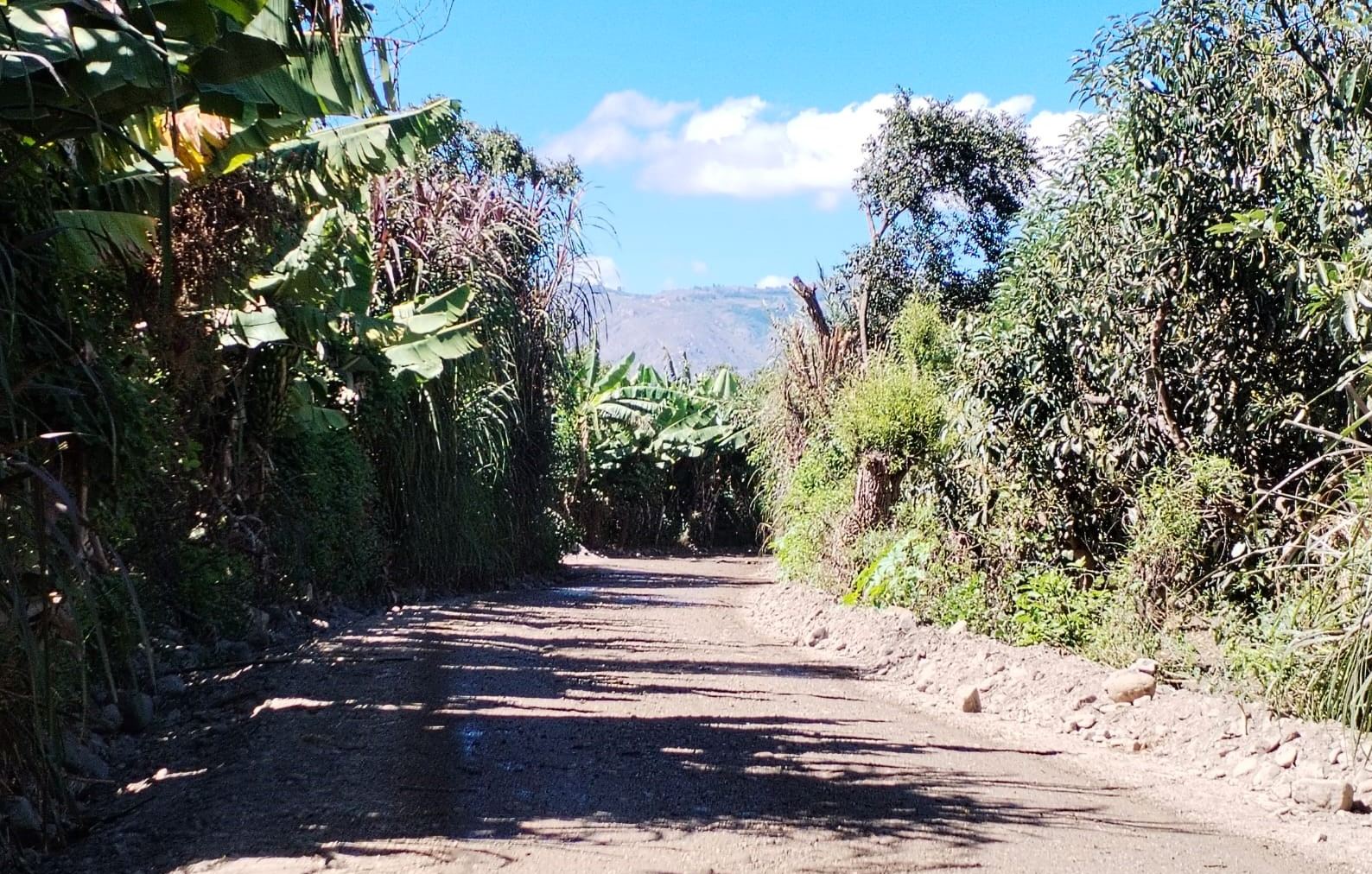 Se culminó con éxito la trocha carrozable Santa Rita – Santa Elena