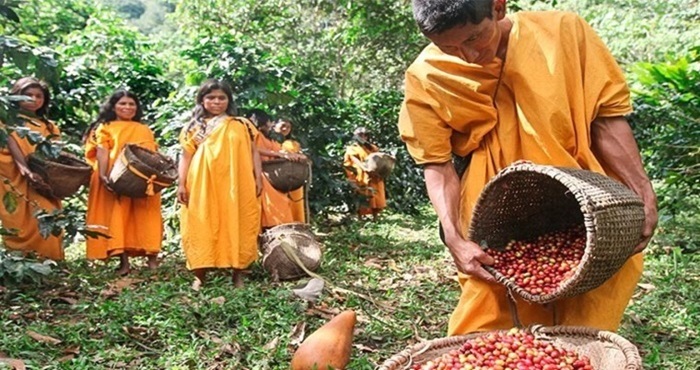 Minam, Banco Mundial y BID evalúan avances del Programa de Inversión Forestal frente a la deforestación de nuestra Amazonía