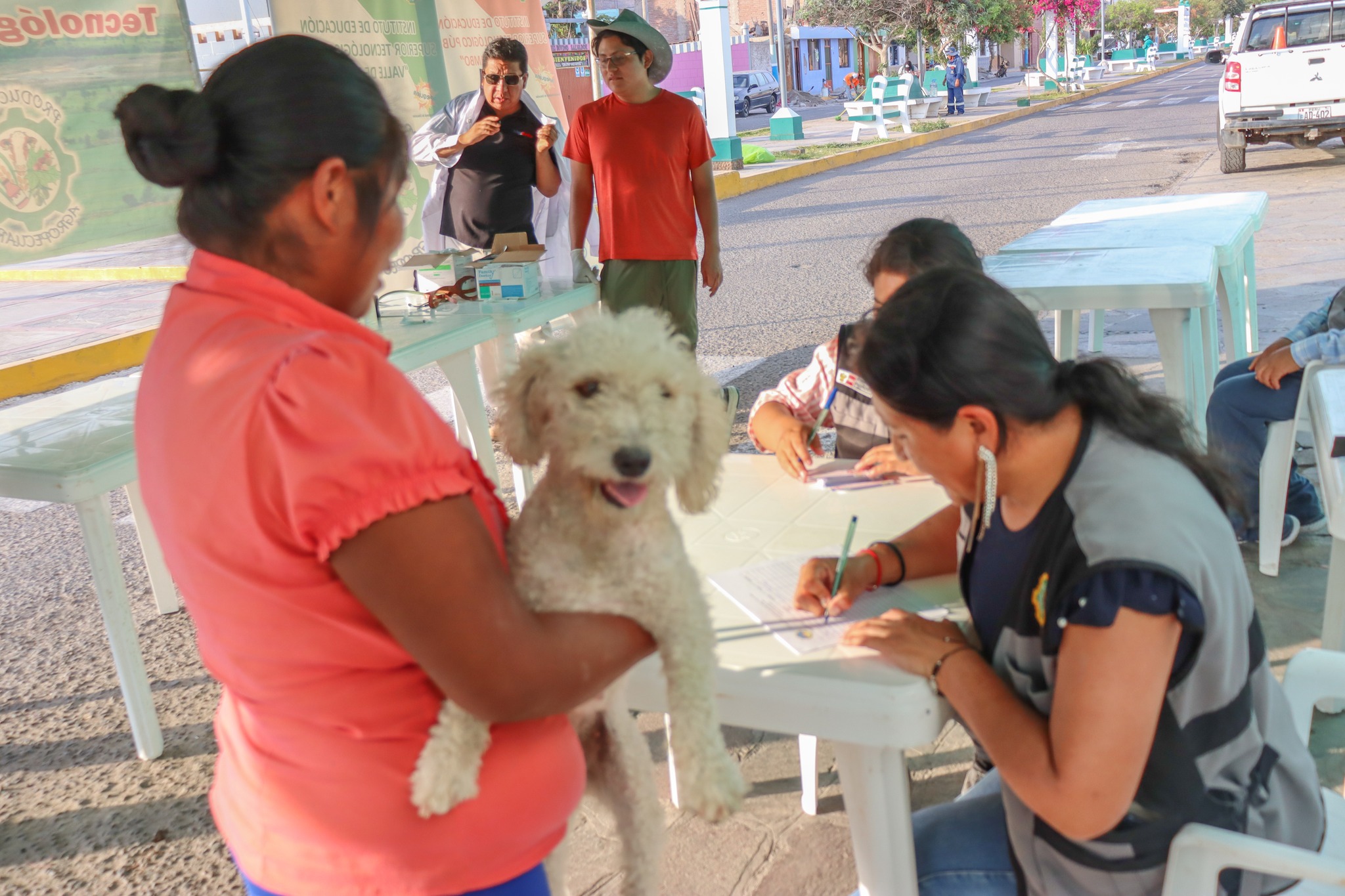 I Campaña de desparasitación externa de caninos