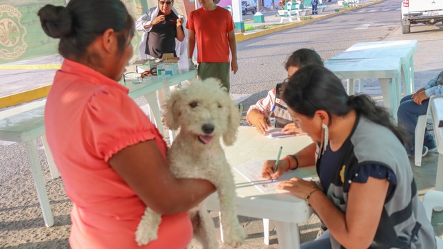 I Campaña de desparasitación externa de caninos 