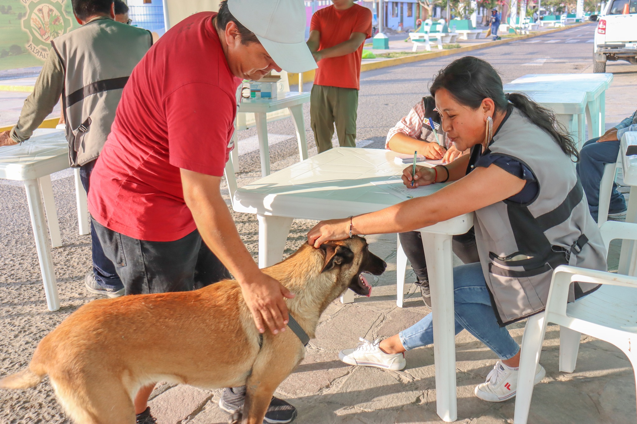 I Campaña de desparasitación externa de caninos