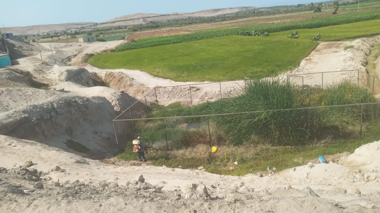 Fumigación en pozo séptico del sector ALTO ENSENADA
