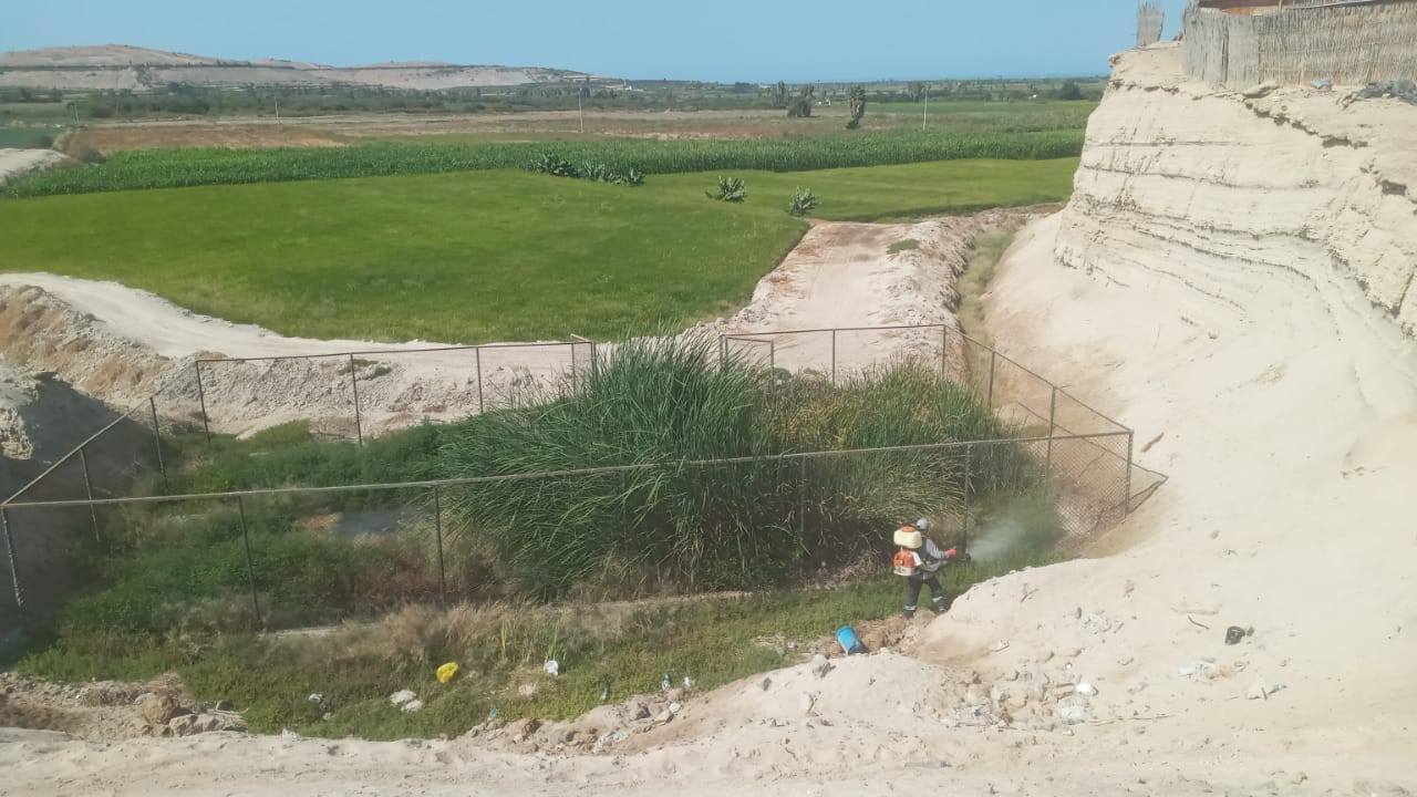 Fumigación en pozo séptico del sector ALTO ENSENADA