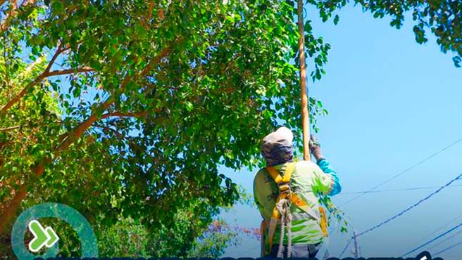 Municipalidad provincial de Paita continúa los trabajos de mantenimiento de las áreas verdes