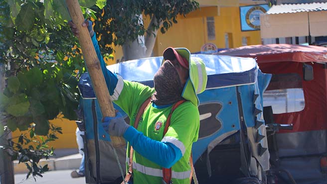 Municipalidad provincial de Paita continúa los trabajos de mantenimiento de las áreas verdes