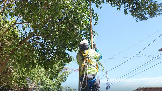 Municipalidad provincial de Paita continúa los trabajos de mantenimiento de las áreas verdes