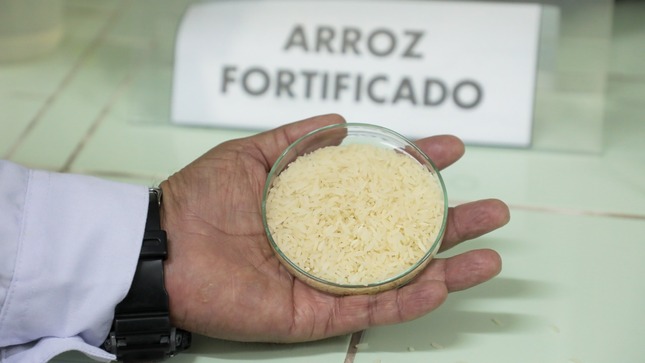 Minsa promueve el consumo del arroz fortificado para la prevención de la anemia y contribuir con la seguridad alimentaria de la población