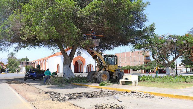 Mejoramos el ornato de la Plaza de Armas de Nepeña