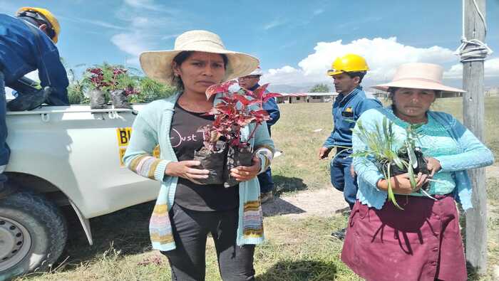 Electrocentro contribuye a la reforestación sembrando 400 árboles de pino en la zona del VRAEM en Ayacucho