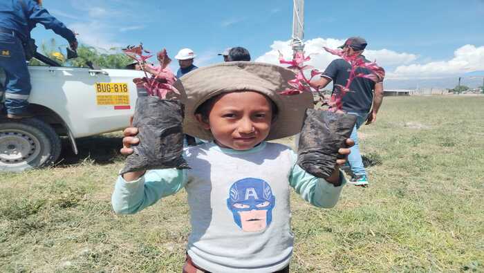 Electrocentro contribuye a la reforestación sembrando 400 árboles de pino en la zona del VRAEM en Ayacucho