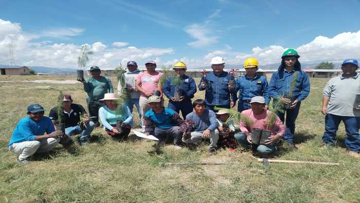 Electrocentro contribuye a la reforestación sembrando 400 árboles de pino en la zona del VRAEM en Ayacucho