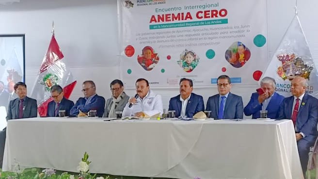 Minsa participó del I Encuentro Interregional Anemia Cero en donde se evaluaron las intervenciones realizadas en los factores determinantes