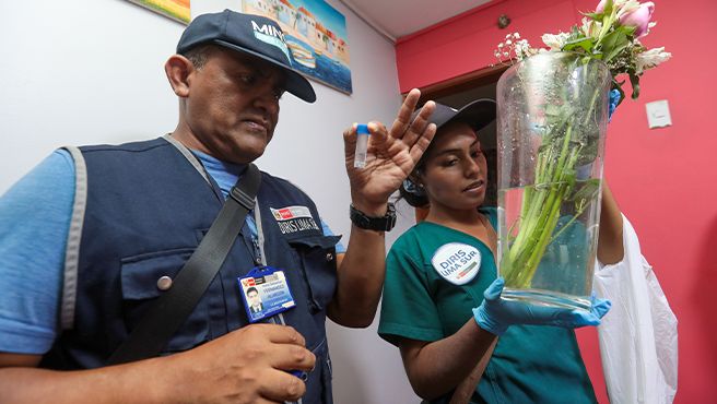 Minsa registra 294 distritos en disminución y meseta por casos de dengue