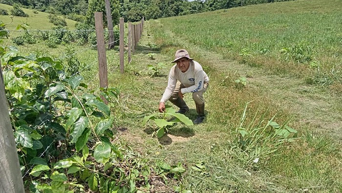 AGRO RURAL