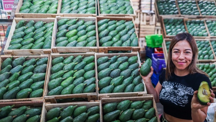  Hoy ofertas en zanahoria, choclo, vainitas, mandarina y palta en los mercados mayoristas