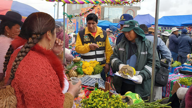 puno animales
