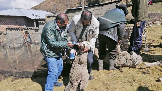 AGRO RURAL