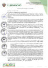 Vista preliminar de documento Resolución de Alcaldía N°207-2024/MDL