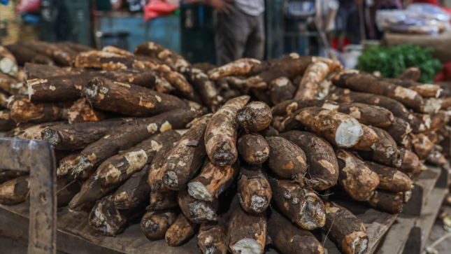 El abastecimiento de productos a los mercados superó las 9 mil toneladas.