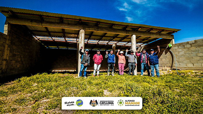 PROYECTO VACUNOS