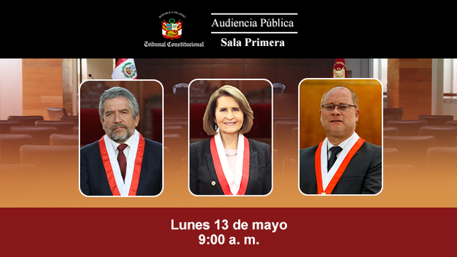 El lunes 13 de mayo sesionará nuevamente en audiencia pública la Sala Primera del TC