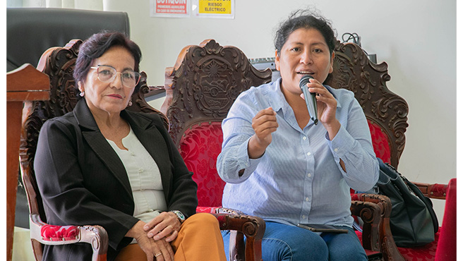 Elaboración del plan de trabajo anual 2024, a fin de tomar acciones enfocadas en favor de la niñez y la juventud Huarmeyana.