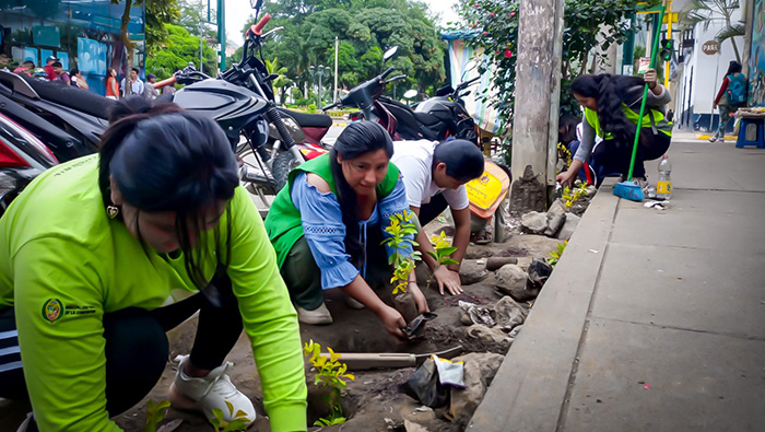 Iniciativa de recuperación de áreas verdes en la zona norte de la ciudad de Quillabamba