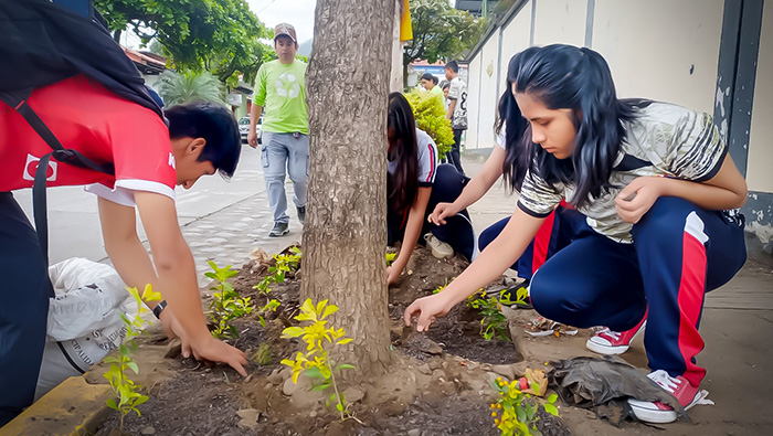 Iniciativa de recuperación de áreas verdes en la zona norte de la ciudad de Quillabamba