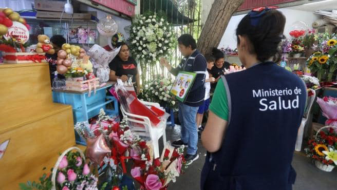 Día de la Madre: Minsa recomienda reemplazar el agua de los floreros por arena húmeda.