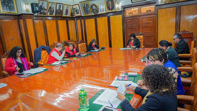 Integrantes del Proyecto FORSNEJ en Cusco consolidaron acciones para fortalecer la justicia en violencia