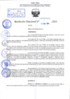 Vista preliminar de documento R.D 0941-2024