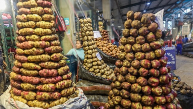 •	El abastecimiento de productos a los mercados superó las 11 mil toneladas