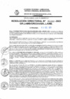 Vista preliminar de documento 4909